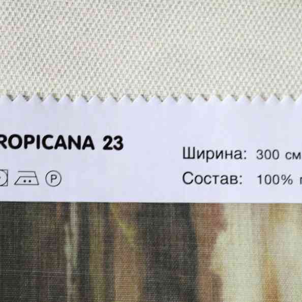 Tropicana 23