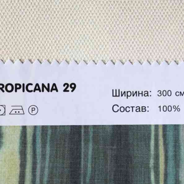 Tropicana 29