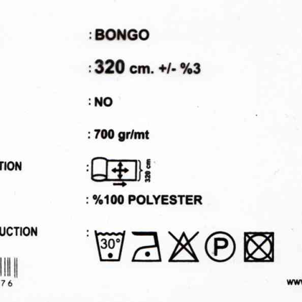 Bongo 907