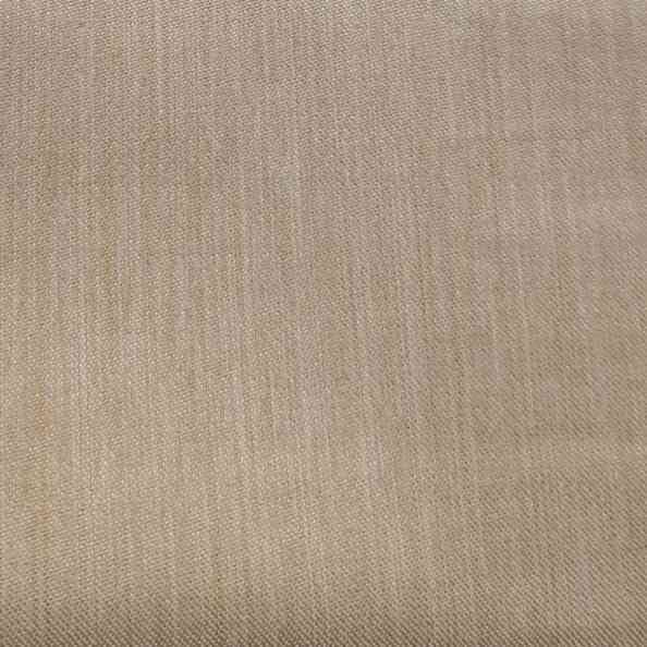 Cationic 2881