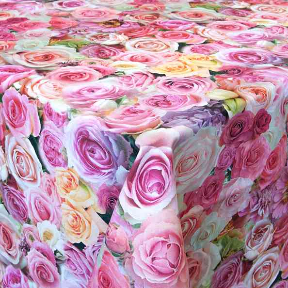 Roses
