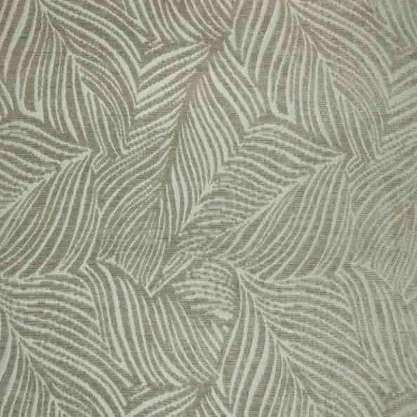 Daphnia 02 Latte