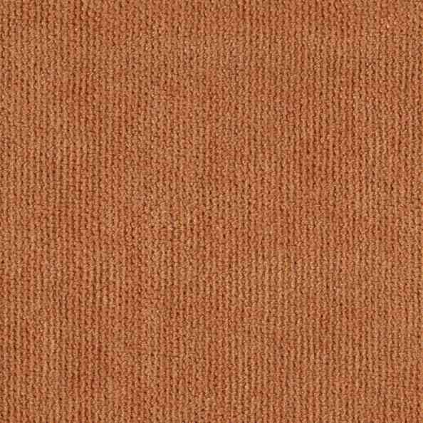 Canvas Life 105