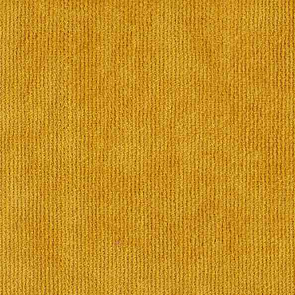 Canvas Life 117