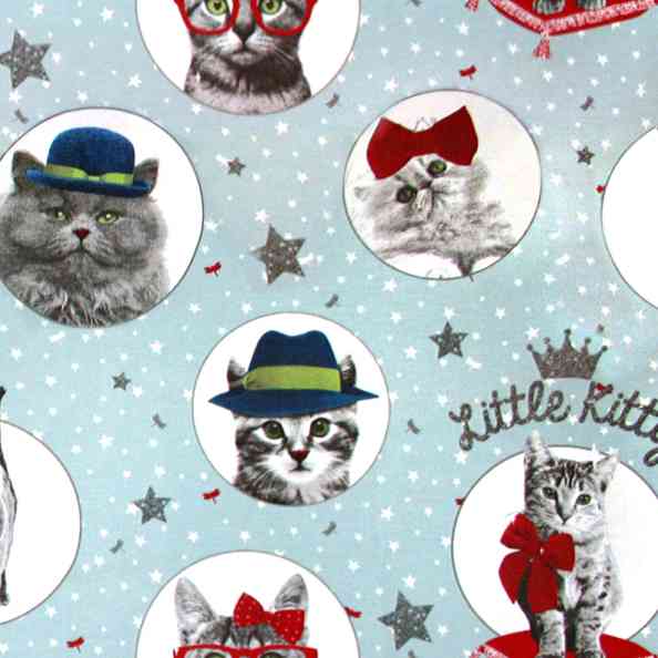 Little Kitty A 01