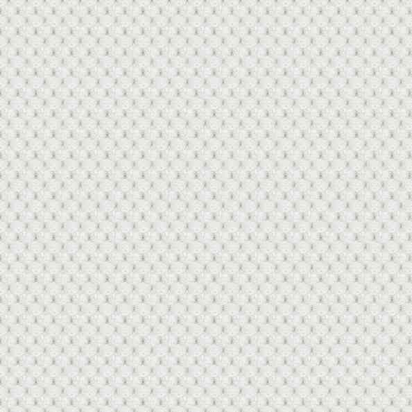 Fine 01