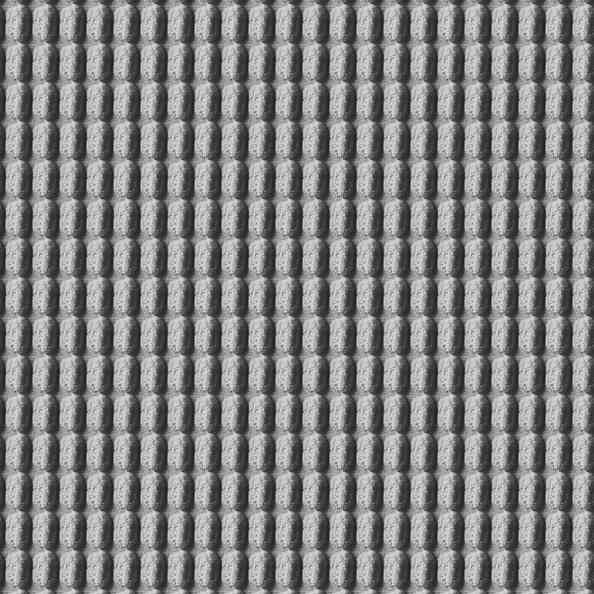 Sence 01