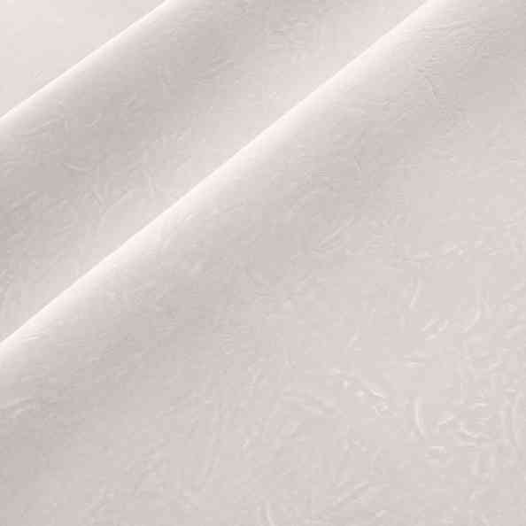 Tenero 01