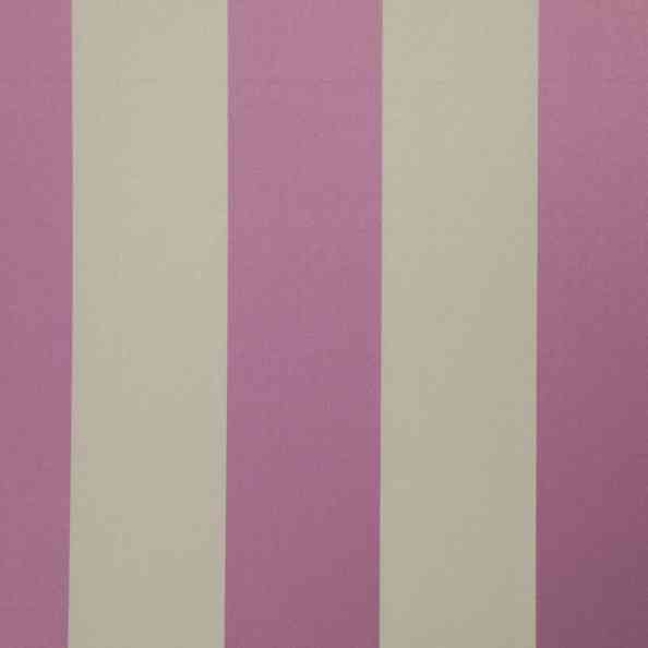 Amilly 18 Amilly Plum