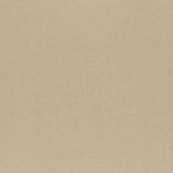 Amilly 31 Vion Beige