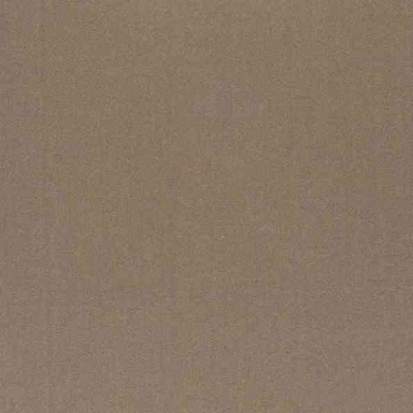 Amilly 36 Vion Fossil