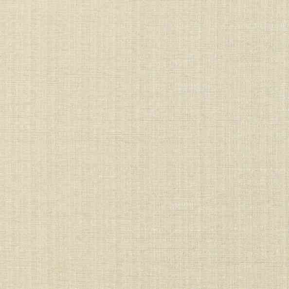 Cassel 55 Raville Putty
