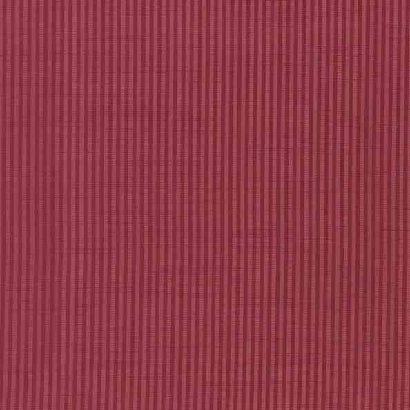 Felitto 13 Mirto Mars