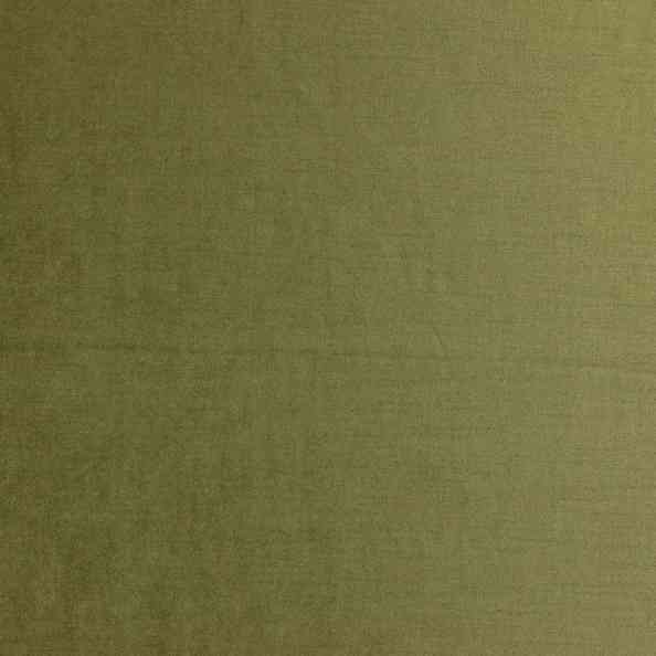 Marques 22 Marques Olive