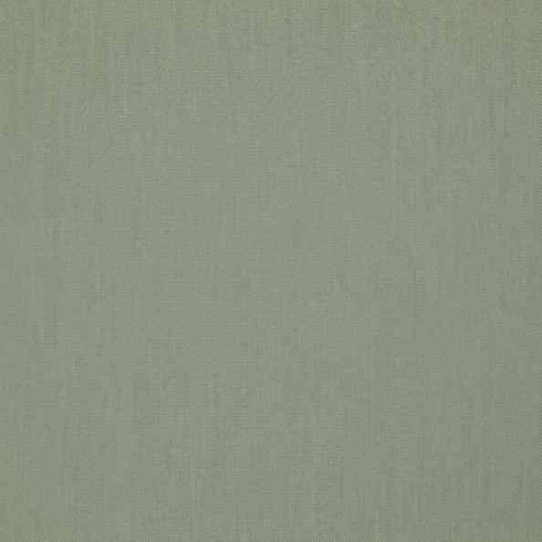 Mezzano II 26 Illuminator Linden