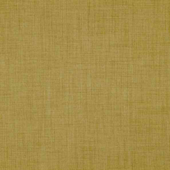 Mezzano II 41 Luminary Chartreuse