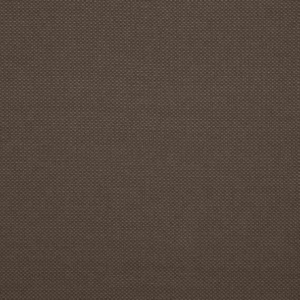 Falcon 21 Falcon Bark