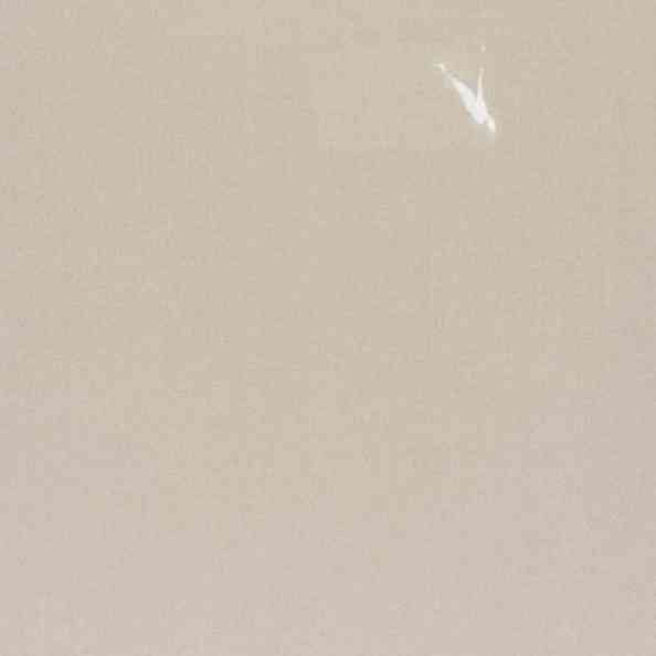 Pure Saten 69 Vion Oyster