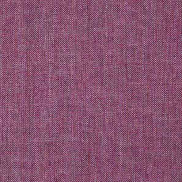 Shanelly 37 Shanelly Fuchsia