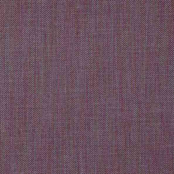 Shanelly 27 Shanelly Amethyst
