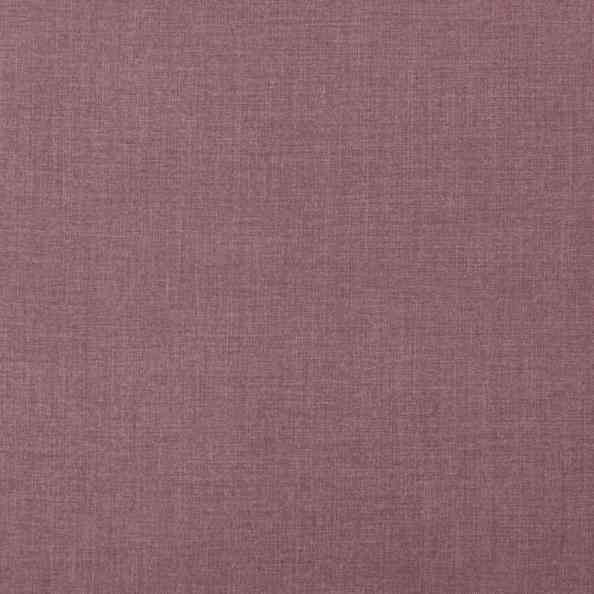Softly 41 Softly Orchid
