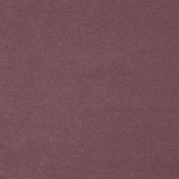 Thermic 26 Nestle Orchid
