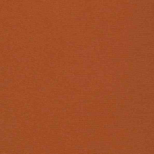 Welt 36 Welt Clementine