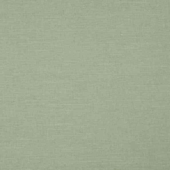 Welt 30 Edge Thyme