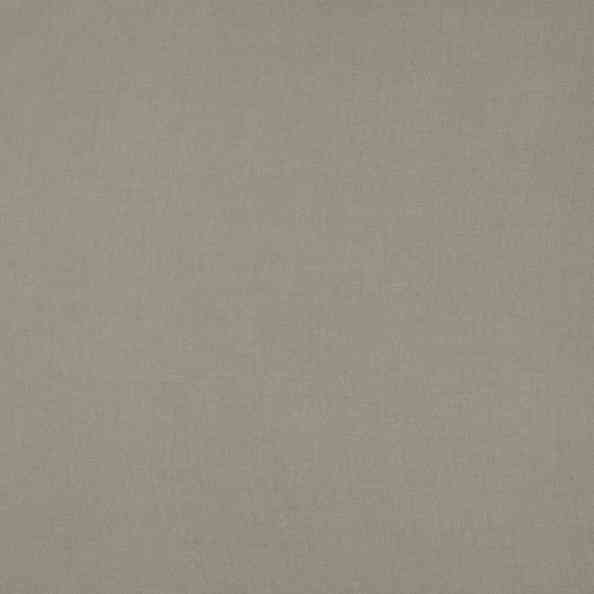 Simple 11 Illusive Chinchilla