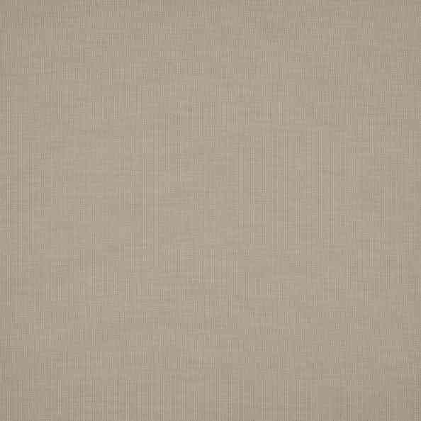 Simple 40 Simple Camel