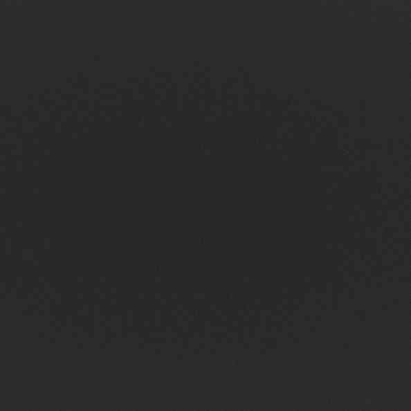 Ida Ivo Carbon