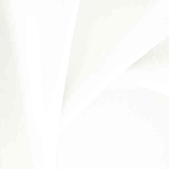 Fiord Ivory