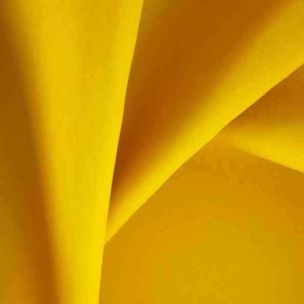 Welfare Mustard
