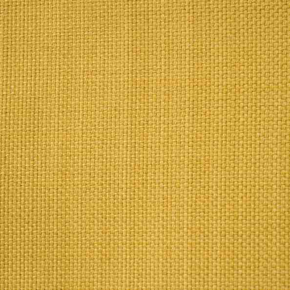 Ambro 62 Meek Blonde