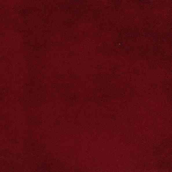 Carmen DL 33