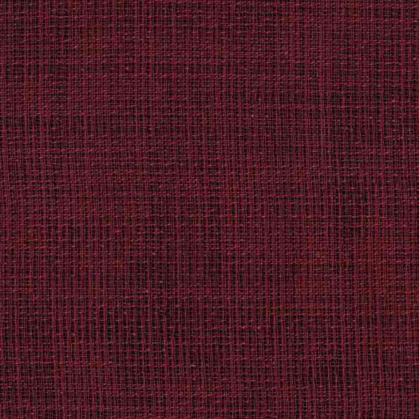 Iris 233 Winered