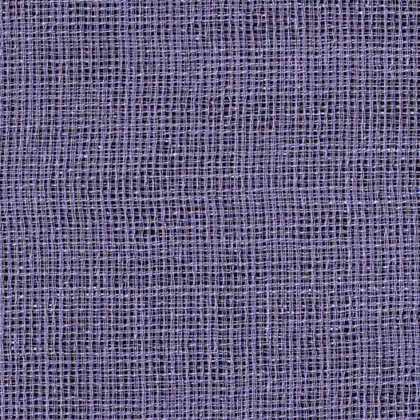 Iris 254 Lavender