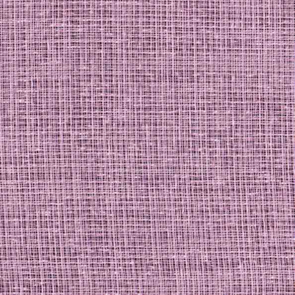 Iris 664 Pink