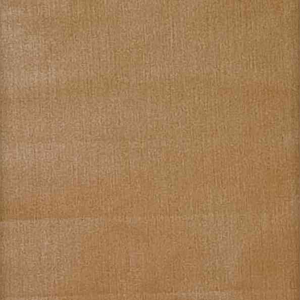 Chintz Liso 5