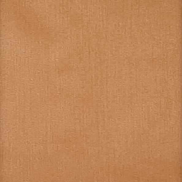 Chintz Liso 12