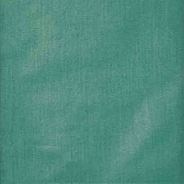 Chintz Liso 8