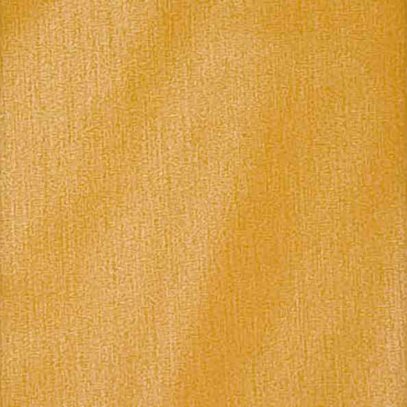 Chintz Liso 9