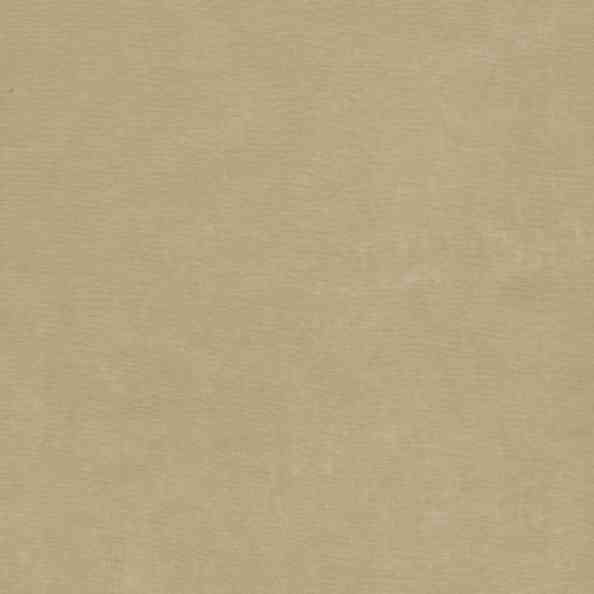Sheerful Prima 10 Willow