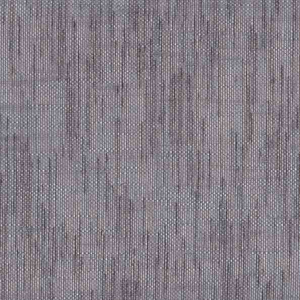 Ray 12