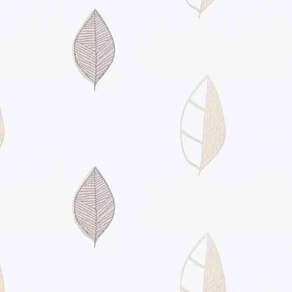 Herbarium 262/17