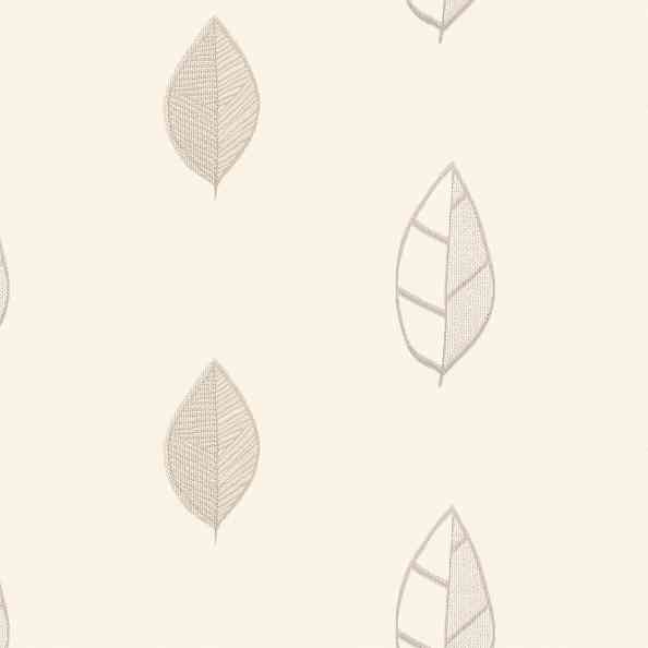 Herbarium 262/27