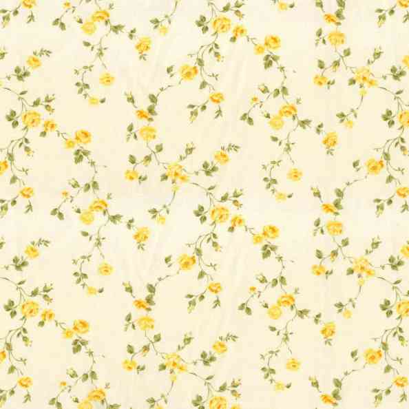 Bloom 2253/22