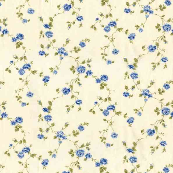 Bloom 2253/41