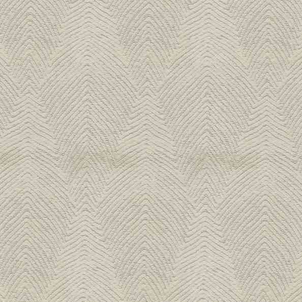 Evolution 2641/13