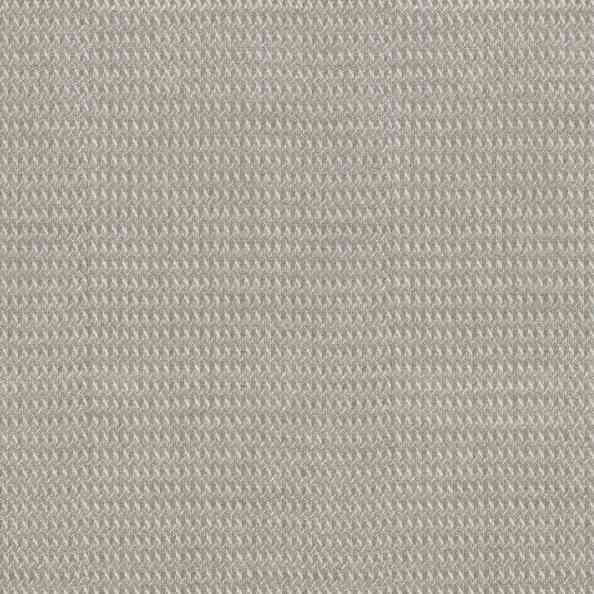 Evolution 2645/13